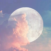 tất cả mọi người