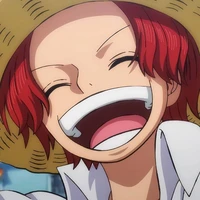 Shanks
