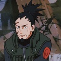 Nara Shikaku