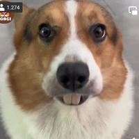 người mà ai cũng biết là ai