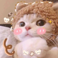 Zy