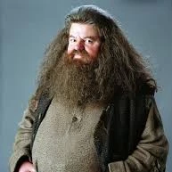 Rubeus Hagrid