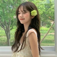 Lưu Nhược Nhược