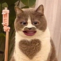 tác giả cute phó mai que