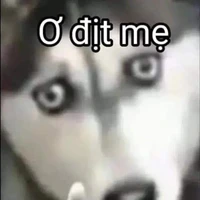 cân mọi nv(trừ người cần trừ)