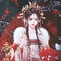 Vũ Đông Đông