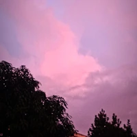 NVP