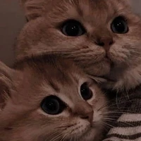 all trừ ai thì trừ