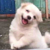 Tác giả có tâm😞