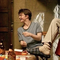 Harry Potter (nguyên chủ)