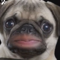 ΩVardenz Ω (♪tgia♪)