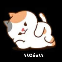 Y/N