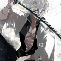 Shinazugawa Sanemi ( Phong trụ_Sa)