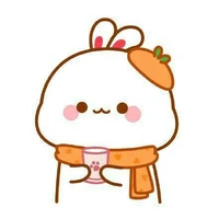 Rabbit love carrot ( đầy tớ của V.F )