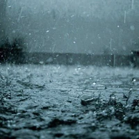 Nhân Vật Cân Mọi Vai Diễn Nhiều - Ít Tùy