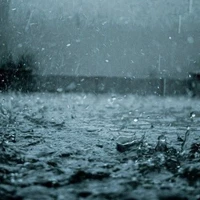 Nhân Vật Cân Mọi Vai Diễn Nhiều - Ít Tùy