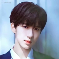 Hạ Tuấn Lâm (anh)