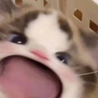 tác giả :3