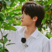 A Thuận