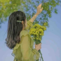 Linh Anh