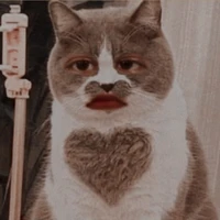 con tác giả mê gái👻