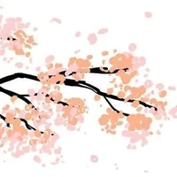 kimeya (tên bang)