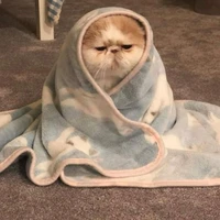 tác giả bị khùm