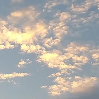 Nhân vật tổng hợp.