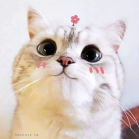 Hệ Thống _ Tiểu Miêu