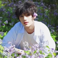 Đinh Trình Hâm ( cậu )