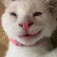 Tg bị tụt tt nặng