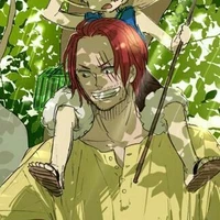 shanks