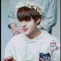 JH,Nhị TT Park Gia, EG JM,BG GL,bn Rose