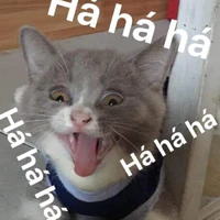 ko đu otp đời ko nể