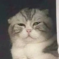 tg đẹp zai 12 bến nc