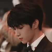 Lưu Diệu Văn(anh)