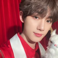 Đinh Trình Hâm(cậu)