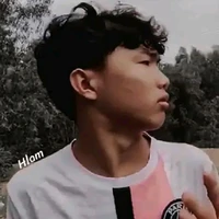 Phạm Đình Hoà