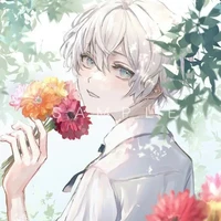 zeri