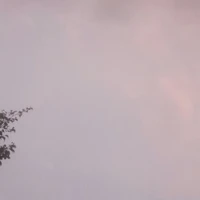 tạc giả buồn đời