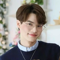 Win Metawin