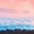 nv tổng hợp