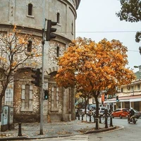 Nhân vật phụ