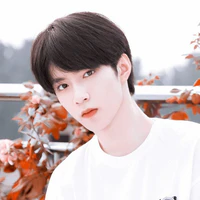 Lưu Diệu Văn