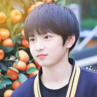 Lưu Diệu Văn