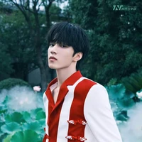 Lưu Diệu Văn ( anh )