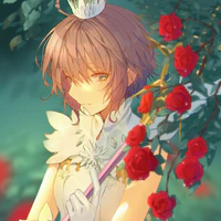 Kinomoto Sakura «Nàng»