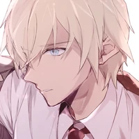 furuya rei /amuro tooru-bourbon/