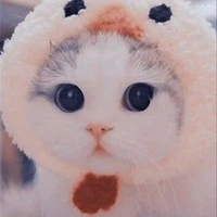 Tiểu Miêu - hệ thống 1306