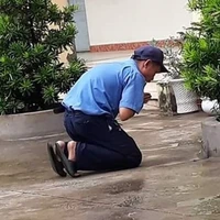 Bảo Vệ Trường